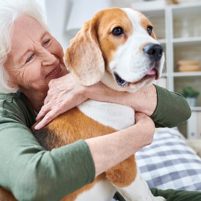 pets and mental health elderly woman in green shirt holding a large beagle dog hugging him at home