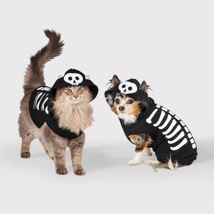 cat and dog in black capes with skeletons on them dressing the pets for Halloween