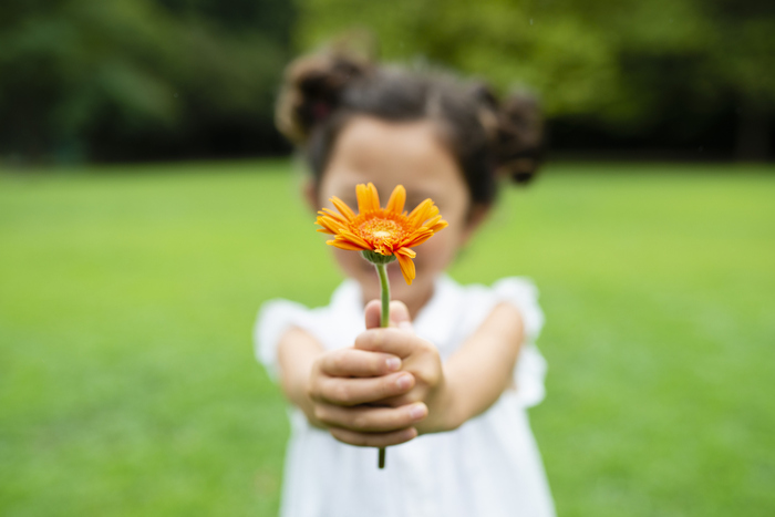 little girl in a white dress with a small orange flower in her hands standing on a green field