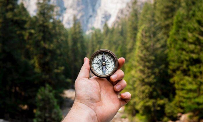 hand holding a compass with a forest in the background