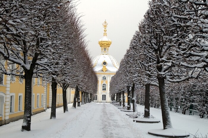 st. petersburg in winter trees along an alley in snow and a beautiful building in the background