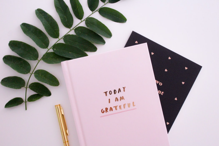 gratitude journals close up on a white surface with a green leaf