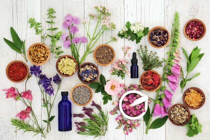 Aromatherapy healing little bowls with various colorful herbs and flowers and a blue bottle