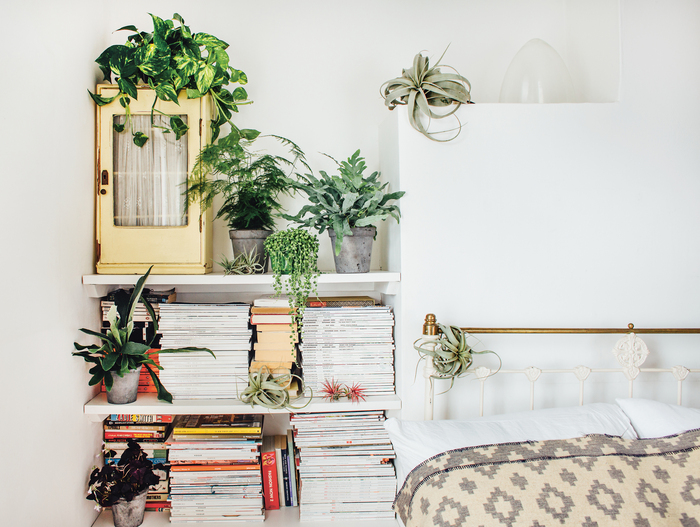 bedroom plants in unusual places next to a bed with white shelves and books and small green plants