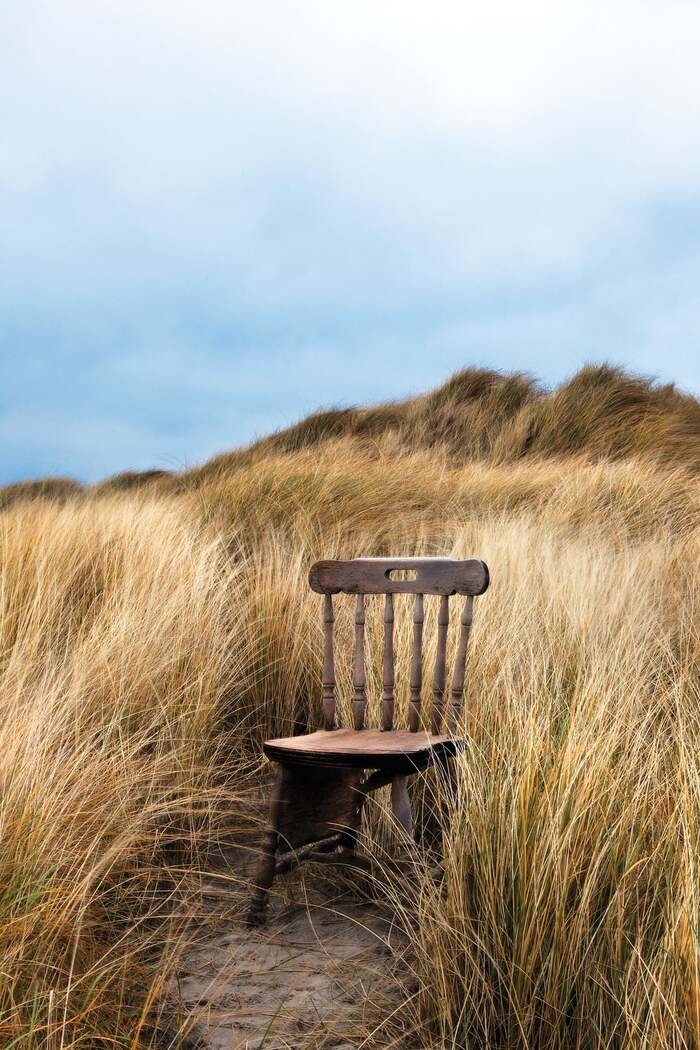 lonely vintage wooden chair standing in the middle of a field of tall yellow grass