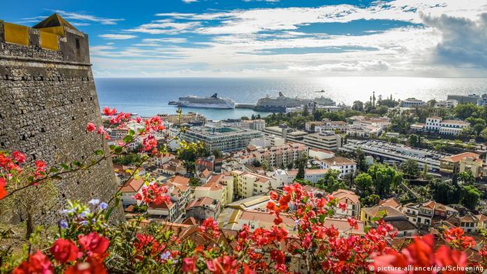 funchal portugal Madeira view over the city with blossoming bushes and big ships in the distance