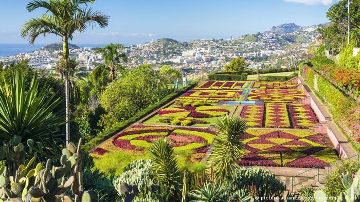 funchal portugal flowering garden with palm trees and exotic plants and a view over the city with 