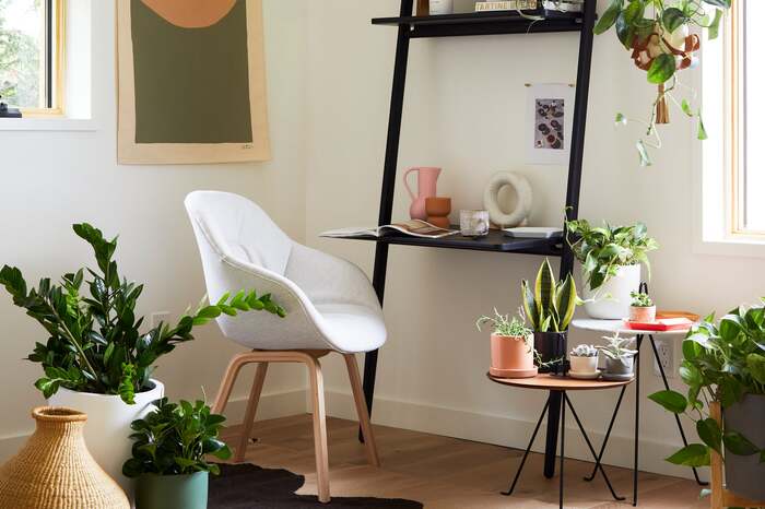 living plants at home modern space with living plants in a white corner with black shelving
