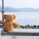 lonely bear