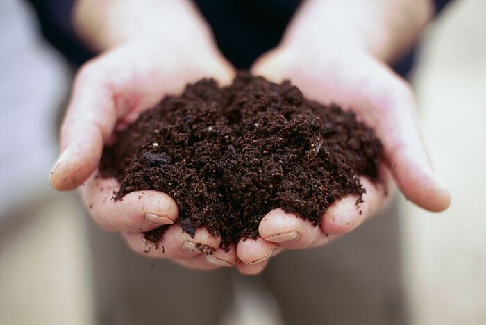 two hands holding compost for spring gardening and planting