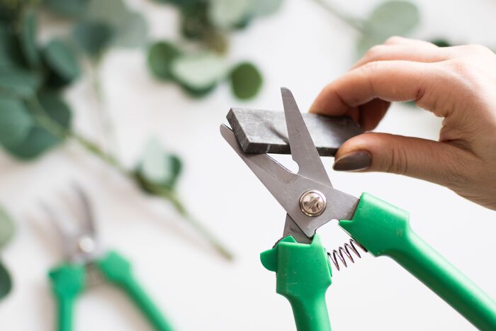 woman with long nails sharpening garden tools