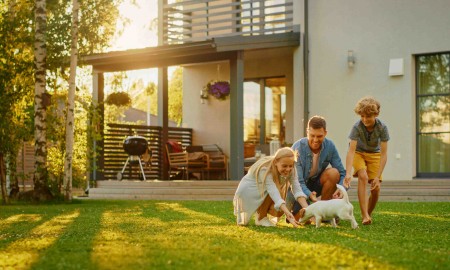 Smiling Father, Mother and Son Pet and Play with Smooth Fox Terrier Retriever Dog. Sun Shines on Idyllic Happy Family with Loyal Pedigree Dog have Fun at the Idyllic Suburban House Backyard