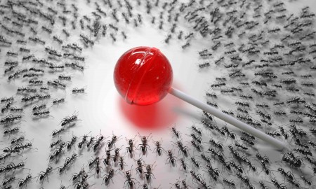 hordes of hungry ants attack lollipop, 3d illustration
