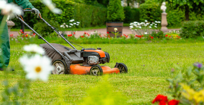 Spring Maintenance person mowing a green lawn in spring