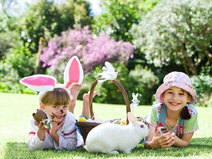 Kids on a lawn in Easter outfits smiling and playing with a white rabbit eating chocolate eggs