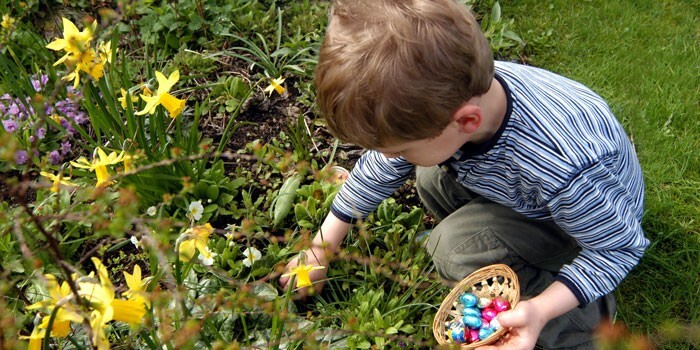 little boy in blue and white stripped egg hunting in the garden 