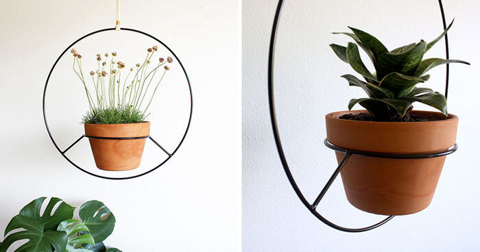 hanging planters plants on a simple black round metal frame on a white background