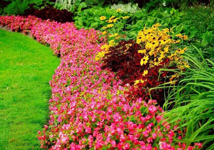spring landscaping garden with flowers and green bushes pink flowers and green grass