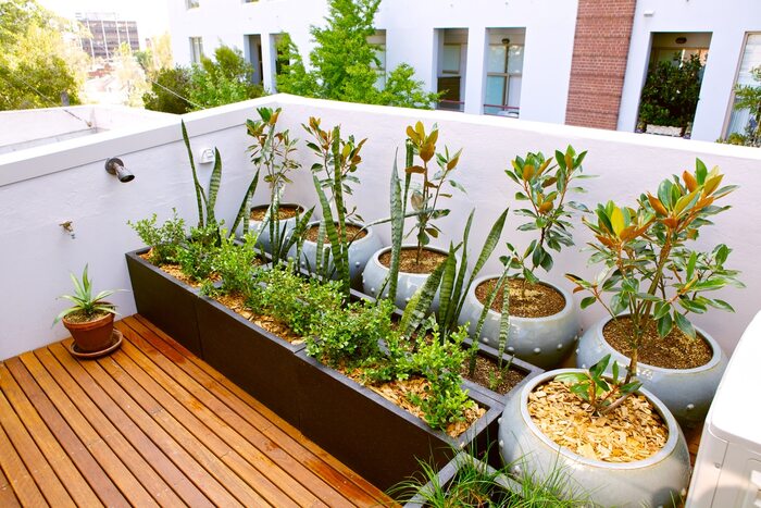 balcony garden in a city with large pots and green plants in them