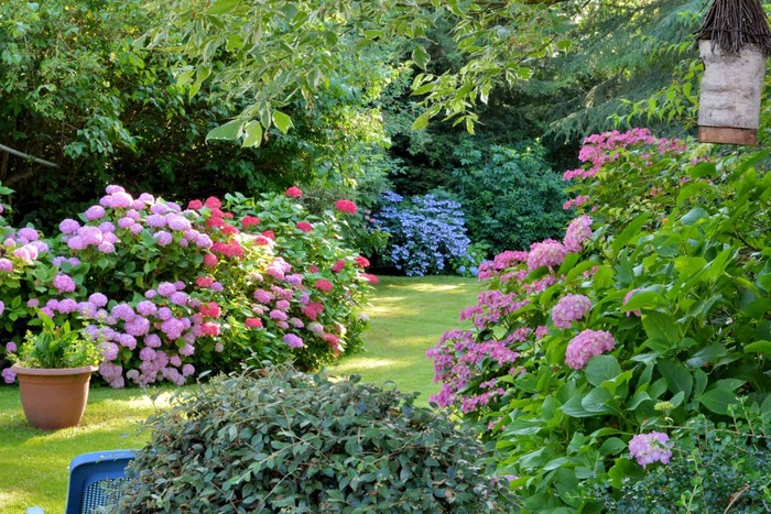 beautiful picture perfect garden with a lot of blossoming flowers and bushes