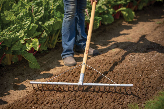 garden bed prep person with a reek preparing a bed in the garden surrounded by tall plants