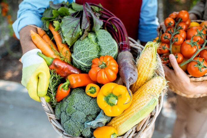 two people holding baskets full of fresh and colorful vegetables tomatoes carrots cabbage and more