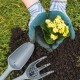 how-to-use-compost