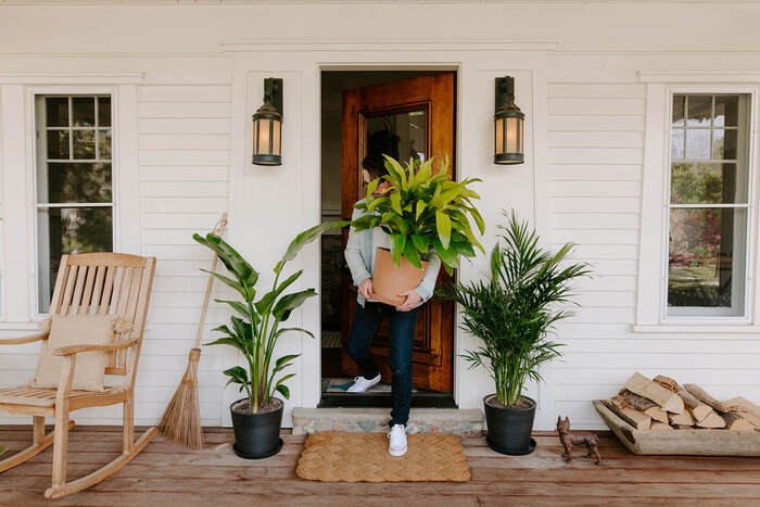 woman at the door moving a large pot with a plant outside on a porch with other plants and wooden furniture