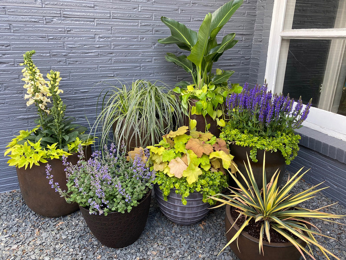 outdoor plants in large pots arranged in a corner next to a window