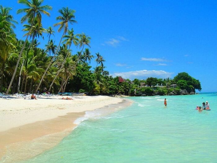 philippines tropical beach with white sand a palm trees in the background