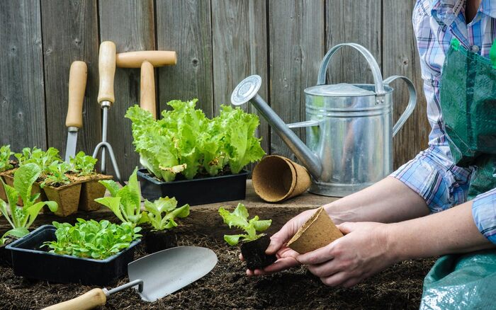 woman sitting surrounded by small plants and garden tools and planting them in the soil