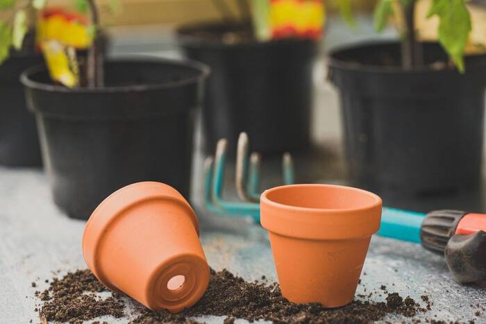 small brown pots on a table with other black pots in the background gardening tools and soil
