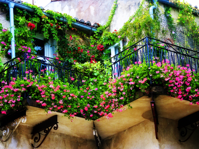 romantic balcony in Provence covered in plants and flowers seen from below