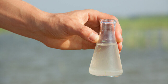 hand holding a small glass lab bottle filled with salty water