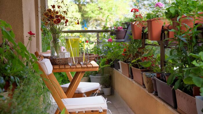 small balcony with an urban garden rows of plants in brown pots and wooden furniture