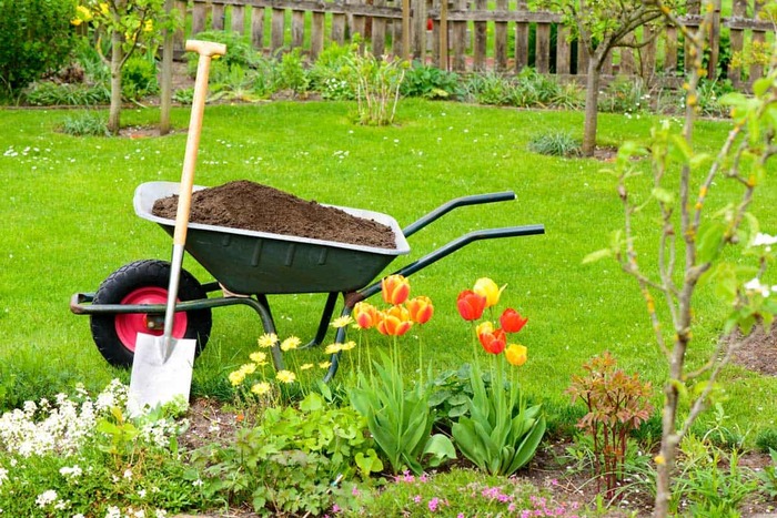 garden cart full with soil in a beautiful garden with green grass and blossoming flowers