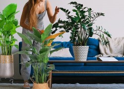 woman and plants