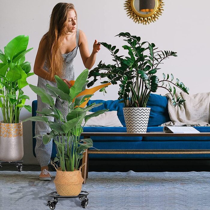 woman and plants