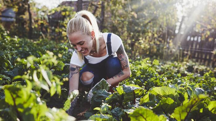 blond woman with tattoos smiling and gardening in her vegetable garden with the sun shining in the background
