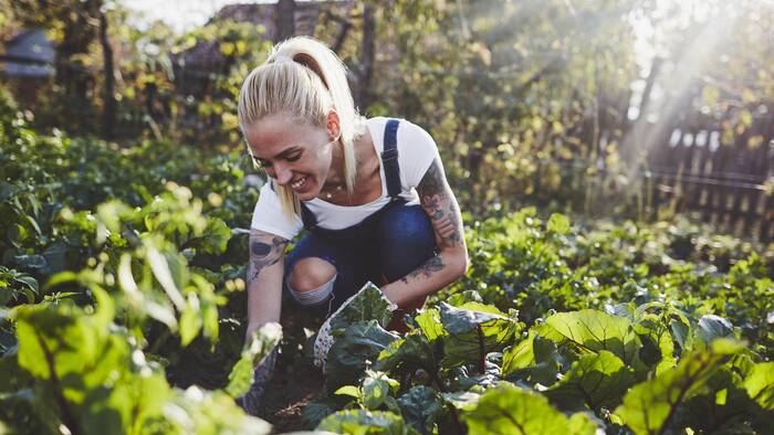 woman gardening