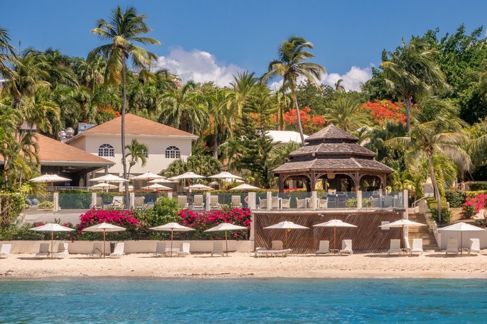 beach bar in antigua surrounded by tall palm trees and exotic flowers 