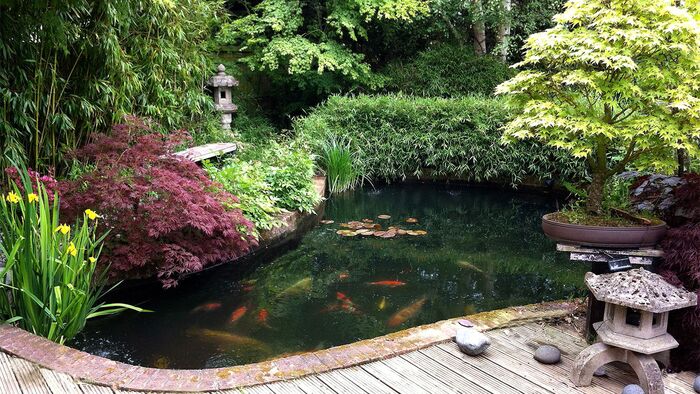 backyard with a pond with fish stone lanterns and different trees bushes and flowers