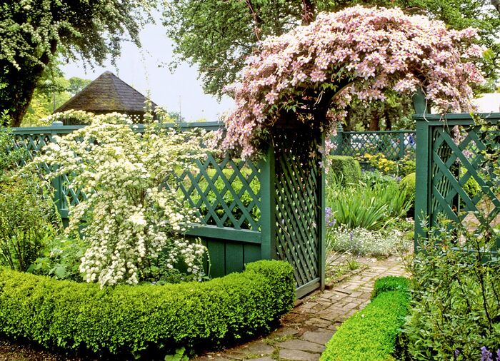 cottage garden with a green fence and a an arch covered in blossoming pink flowers