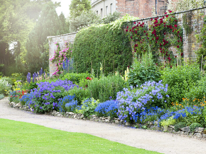 A beautiful summer herbaceous flower border in hazy sunshine and a tall wall