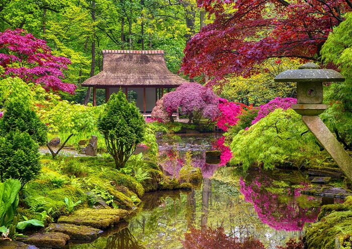 garden idea japanese style a creek tea house in the background green bushes and colorful trees