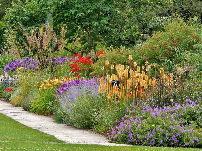 gardening and landscaping flower borders with different blossoming types of flowers