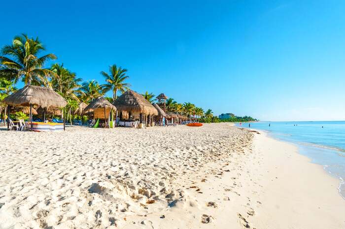 playa del carmen beach in Mexico with white sand and large palm trees in the background