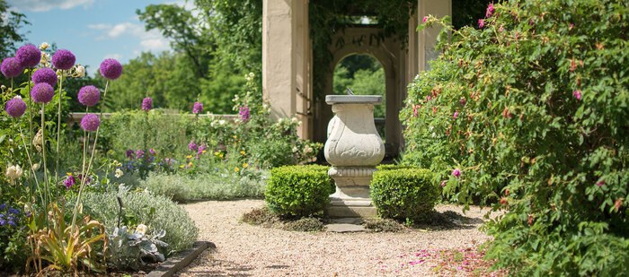 rose garden with some decorative elements blooming flowers and bushes