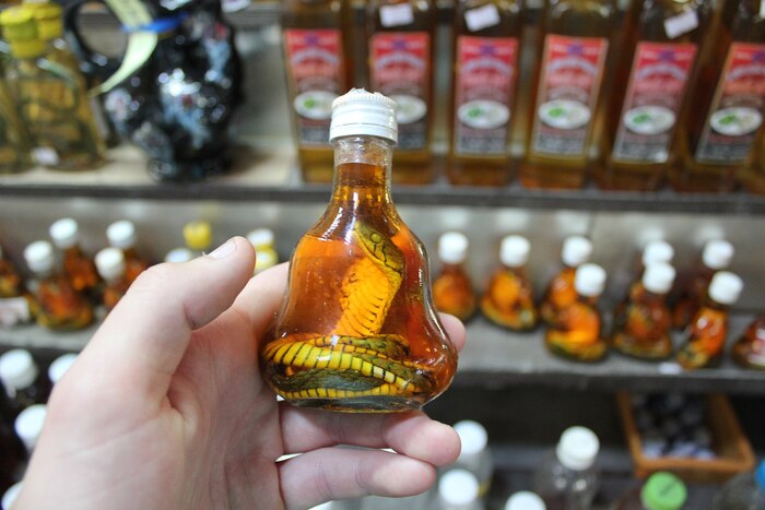 hand holding a small bottle with snake wine in Vietnamese souvenir shop shelves in the background