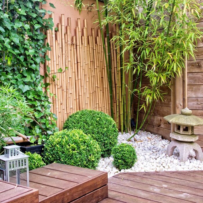 zen garden in the backyard with bamboo lanterns ivy and round bushes